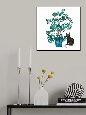 Black Cat With Monstera Plant