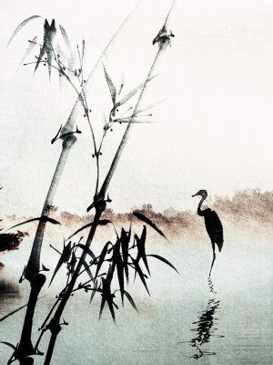 Tranquil Reflections