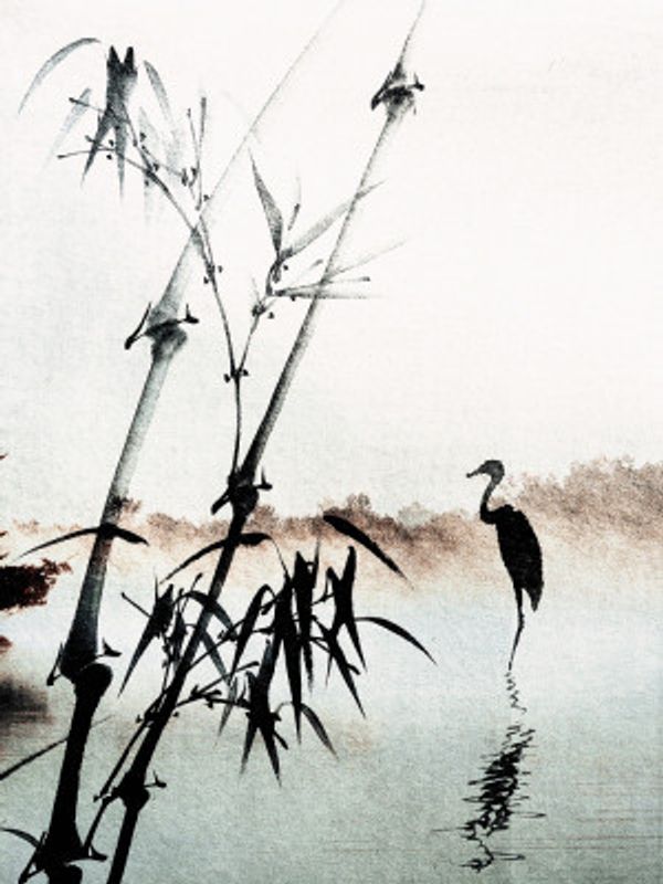 Tranquil Reflections