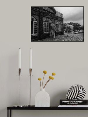 Early morning visitors