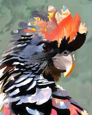 Cockatoo: Flame &amp; Feather