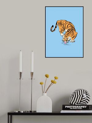 Tiger Drinking From A Water Puddle