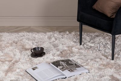 Venture Home Shiva Ryamatta Champagne