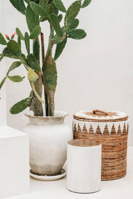 Bazar Bizar The Tribe Pall - Naturvit