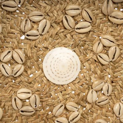 Bazar Bizar The Caribe Shell Plate Väggdekoration - Naturvit - M