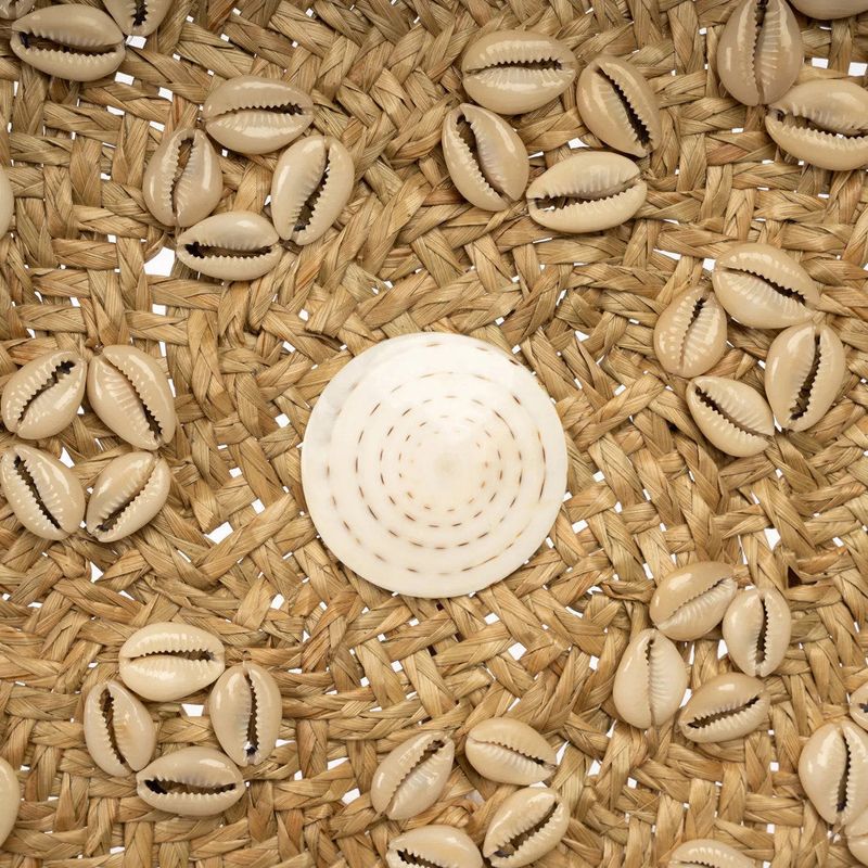 Bazar Bizar The Caribe Shell Plate Väggdekoration - Naturvit - M