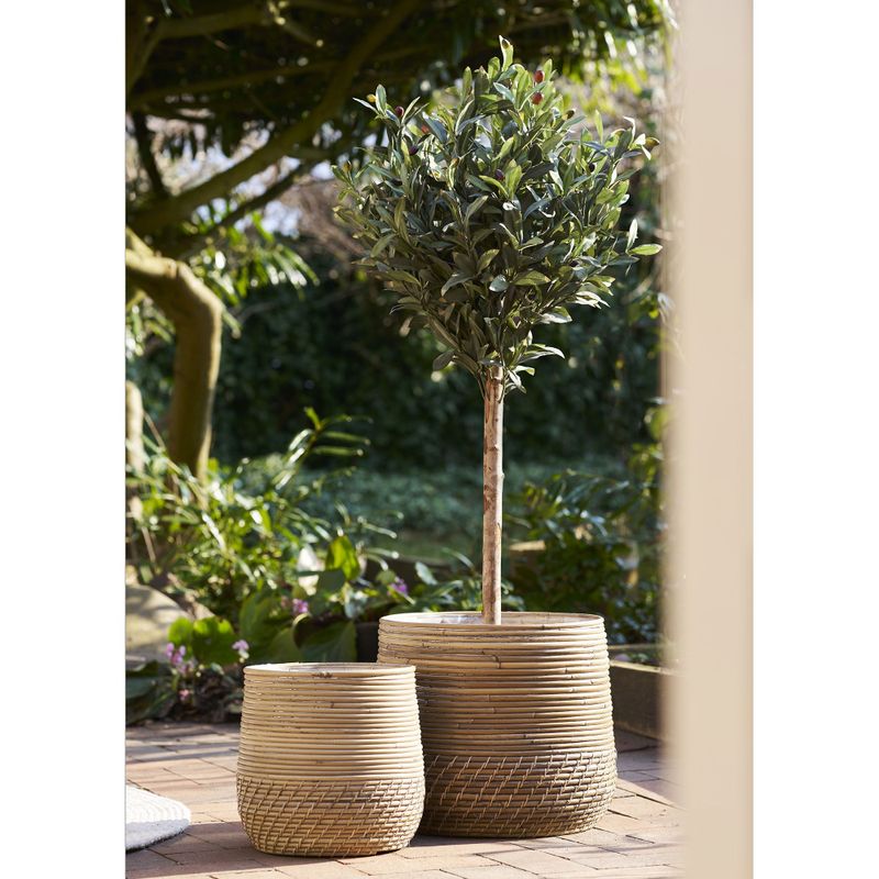 House Nordic Moro Korgar - Set om 2