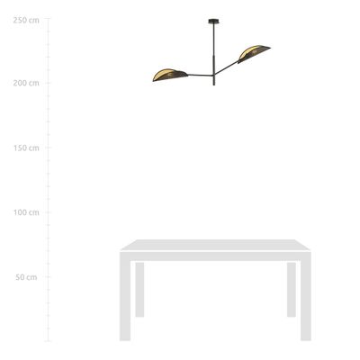 Emibig Lighting Taklampa VENE 2 SVART/GULD