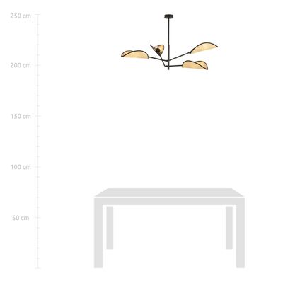 Emibig Lighting Taklampa VENE 4 SVART/ROTTING