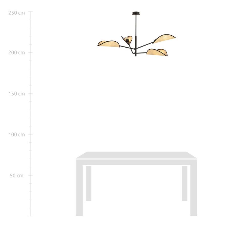 Emibig Lighting Taklampa VENE 4 SVART/ROTTING