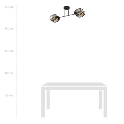 Emibig Lighting Taklampa TALIA 2 SVART