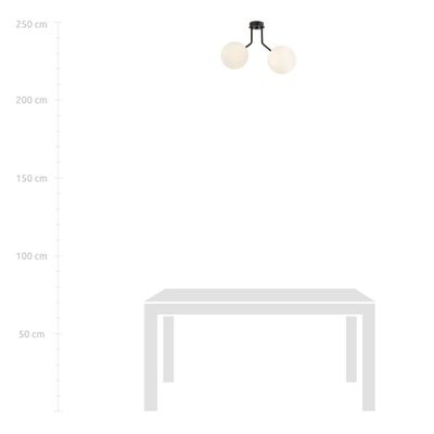 Emibig Lighting Taklampa NOVA 2 SVART/OPAL