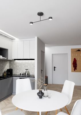 Emibig Lighting Taklampa HALO 2 SVART