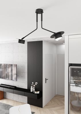Emibig Lighting Taklampa MIZU 2 BL