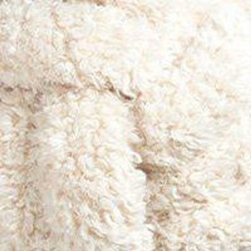 Svanefors Lilo Prydnadskudde Offwhite 25 cm