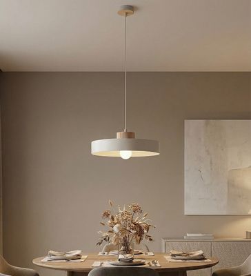 Emibig Lighting Taklampa KIVI 1L VIT