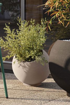 AYTM Globe Kruka Taupe Ø37 cm