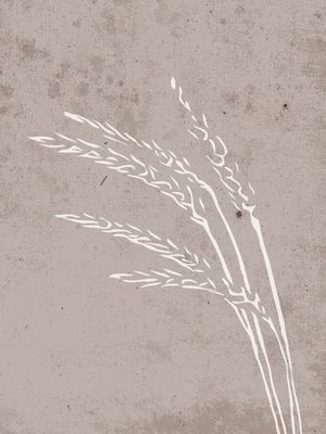 1zihX90g6nUHrhR1771453884