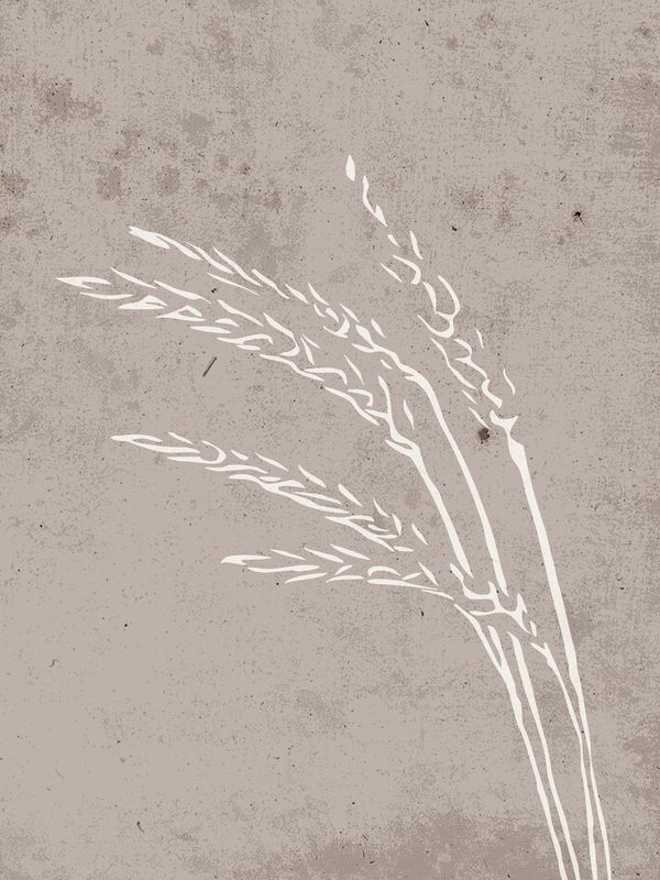 Venture Home Seeds Poster Beige