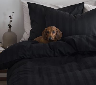 Borganäs Satin påslakanset svart 150x210 cm 2 delar