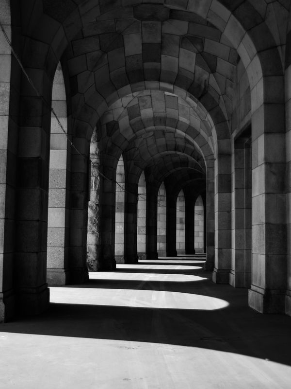 Venture Home Walkway Poster Beige