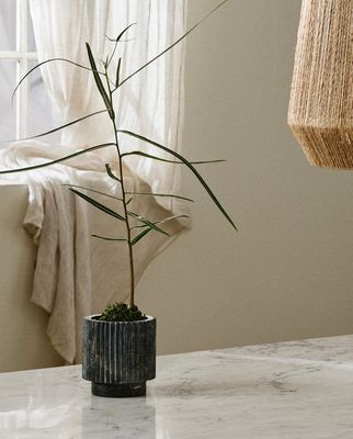 7dY0GHBuwg1rH9b1765679233