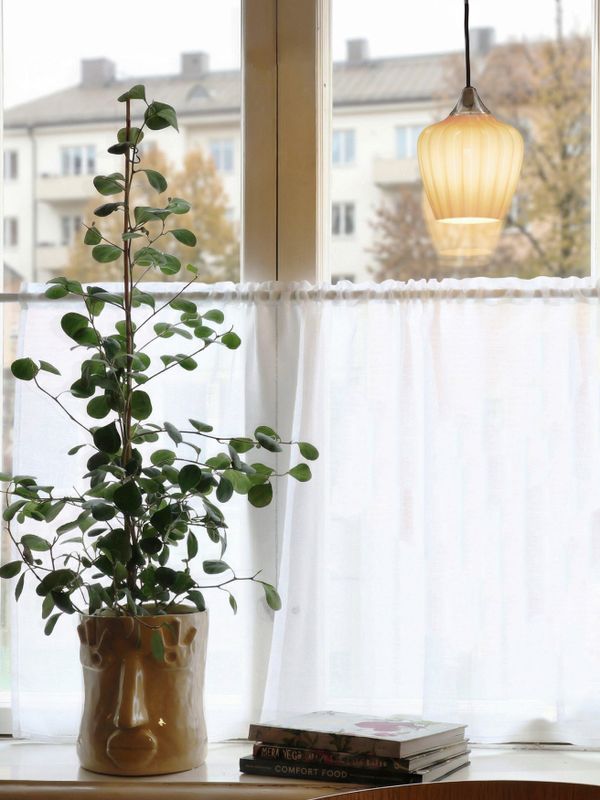 PR Home Amalfi fönsterlampa Rosa 15 cm