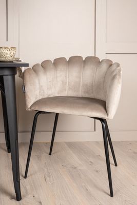 Venture Home Tempe Matgrupp