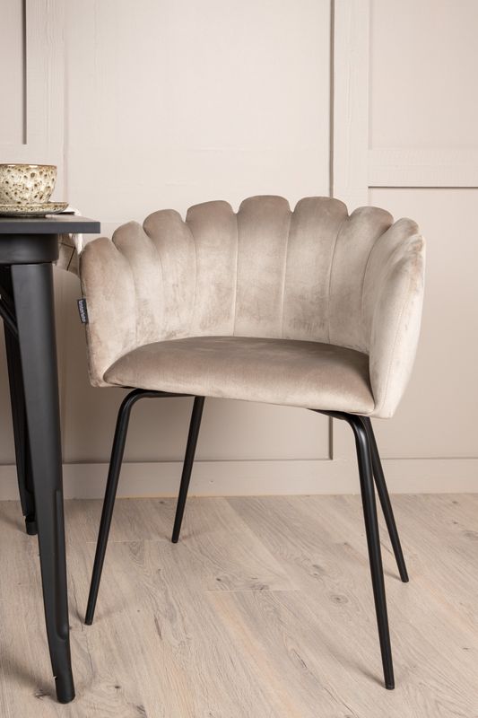 Venture Home Tempe Matgrupp