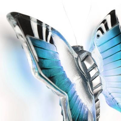 192177103-origpic-04c1dd