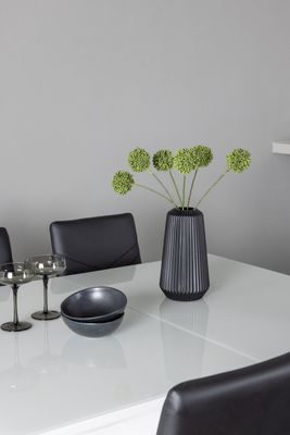 Venture Home Matgrupp Pluto med stolarna Lily