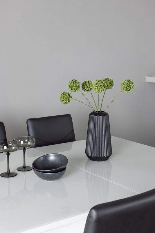 Venture Home Matgrupp Pluto med stolarna Lily