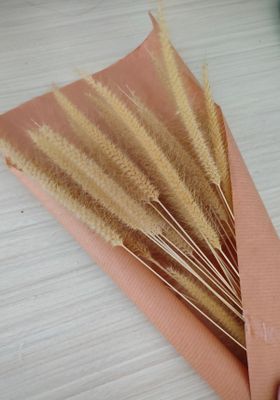 4smkNheZpEjEhqt1771453867