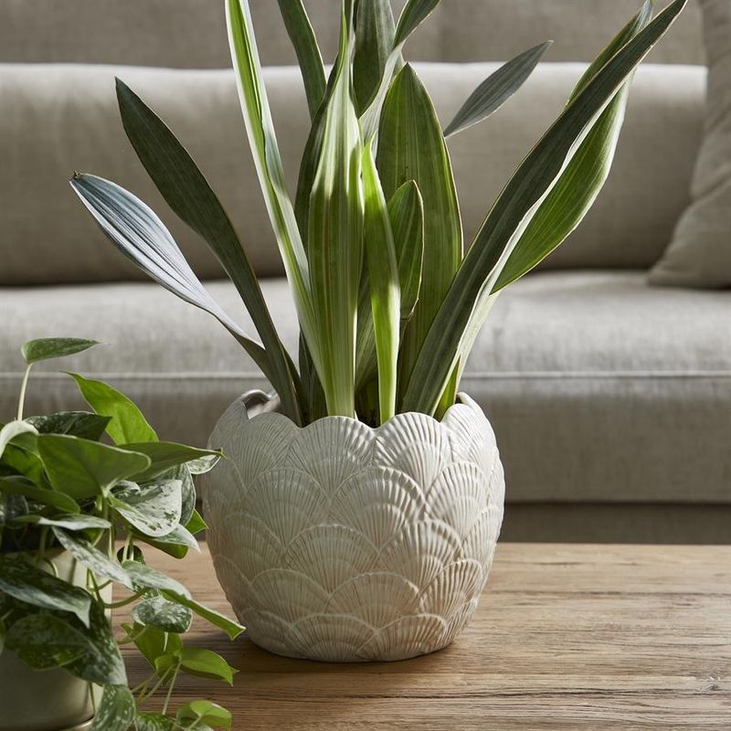 Riviera Maison Shell kruka vit