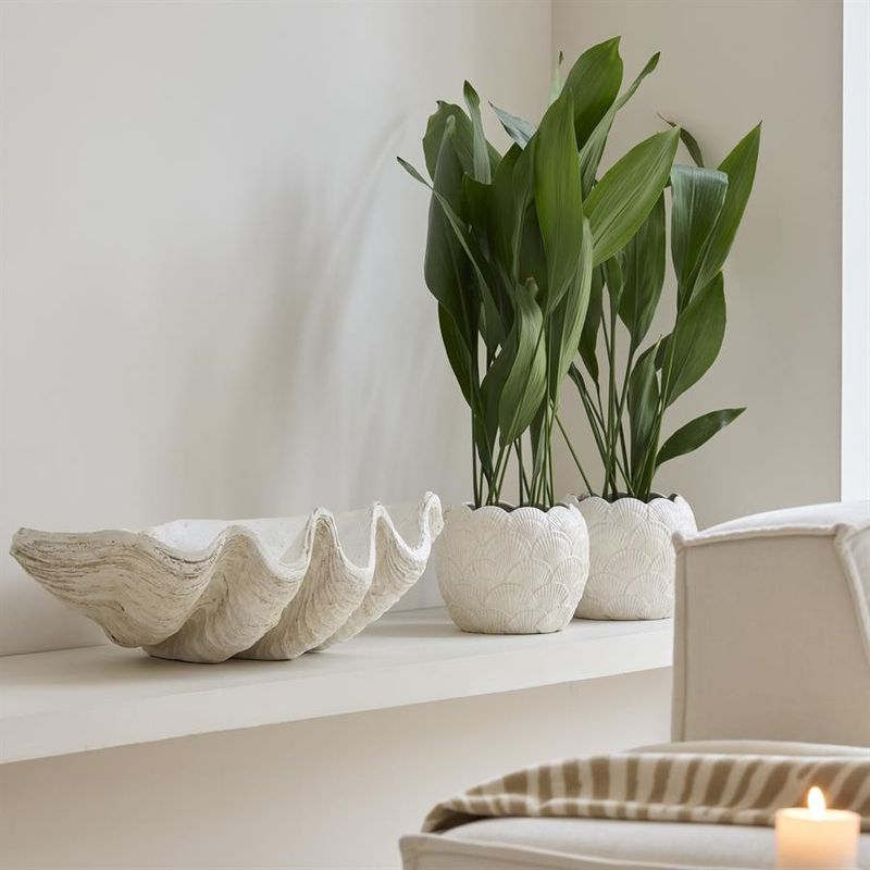 Riviera Maison Shell kruka vit