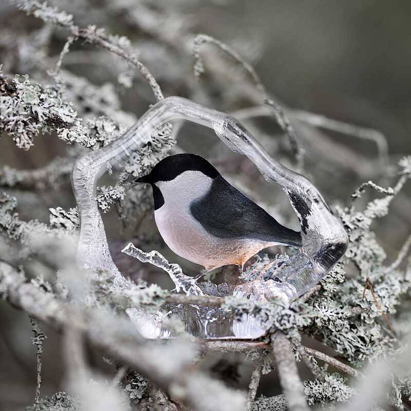 Målerås Entita Kristallskulptur