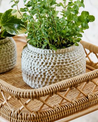 Nordal LIRI Rullvagn - Natur