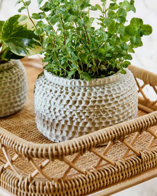 Nordal LIRI Rullvagn - Natur