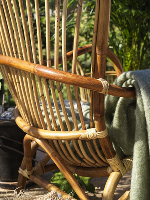 Brafab Vallda Öronlappsfåtölj i Rotting