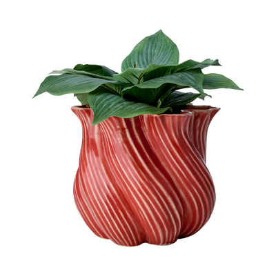 Affari of Sweden TWIST Vas, Korallröd