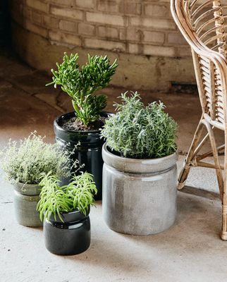 6AkKaSrXAHJJsrb1765682589