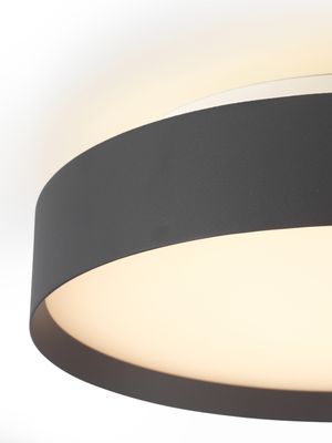 Halo Design Backlight Full Plafond Svart Ø50 cm