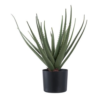 House Nordic Aloe Vera 51 cm konstväxt