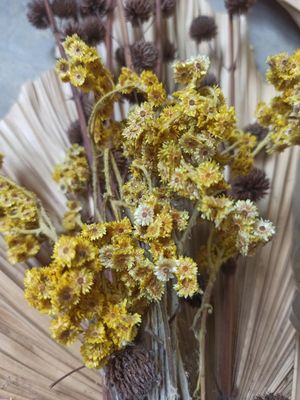 Venture Home Bouquet Poster Gul