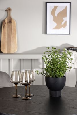 Venture Home Matgrupp Olivia med Stolarna Eva