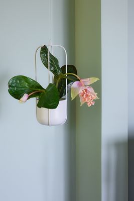 Hübsch Lotus Hängkrukor Ljusgrå (set om 2)