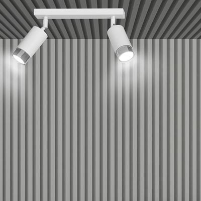Emibig Lighting Taklampa HIRO 2 VIT/KROM