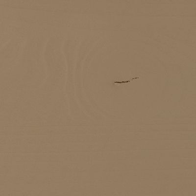 WOOOD TURNER TV-bänk i grenen Mud [FSC]