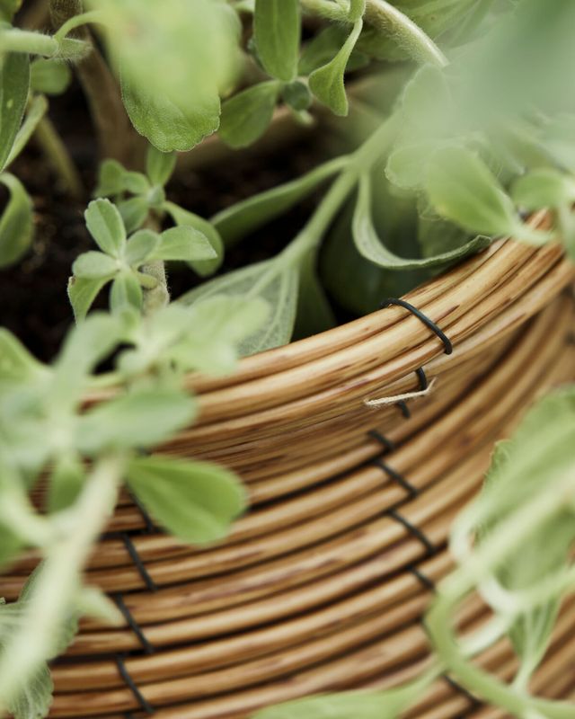 House Doctor Boum Kruka Natur