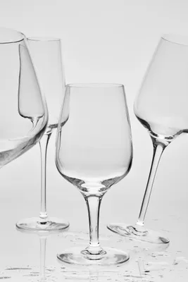 Chef & Sommelier Champagneglas 21 cl Sublym